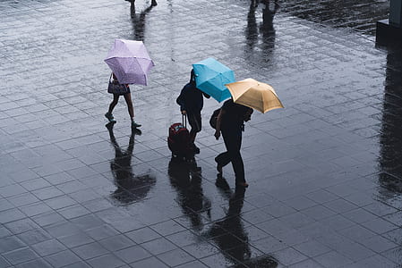 top view of three people carrying umbrella under rainy sky thumbnail