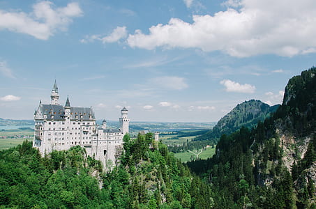 white and gray castle near forest during daytime thumbnail