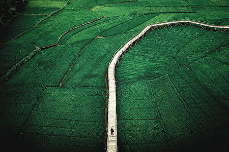 high angle photography of green grass field at day time thumbnail