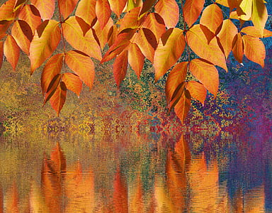orange leaf near body of water painting thumbnail