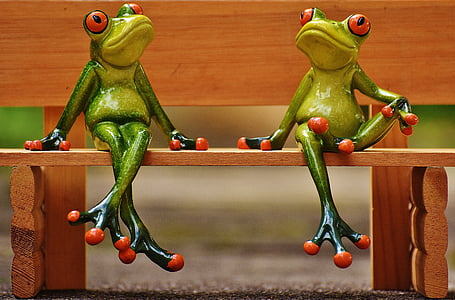 selective focus photography of two red-eyed tree frogs sitting on bench thumbnail