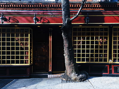brown wooden house thumbnail