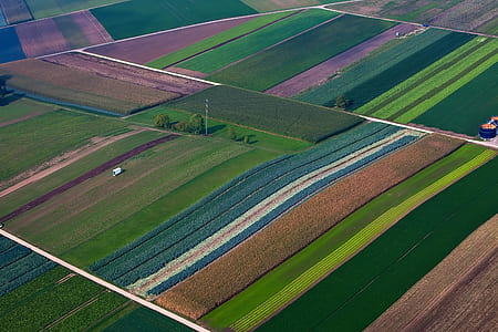 aerial view of green grass field thumbnail