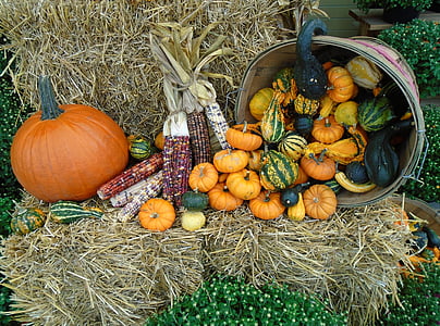 assorted fruits thumbnail