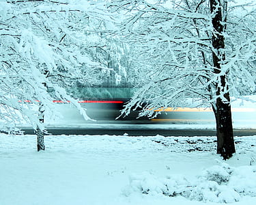 timelapse photography of vehicle passing through tree thumbnail
