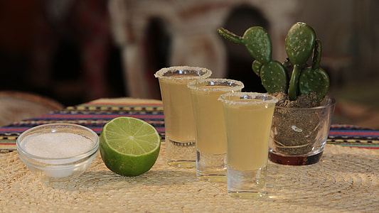 three shot glasses near cactus plant thumbnail