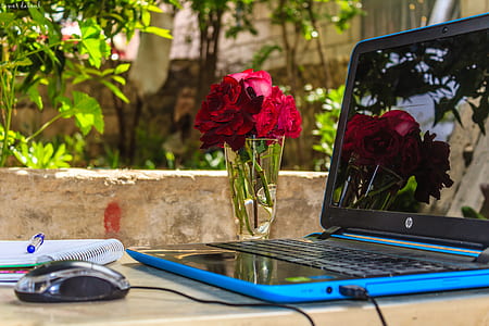 Hp Laptop Turned on With Corded Mouse in Front at Daytime thumbnail