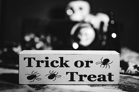 Halloween Decorations thumbnail