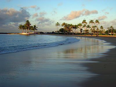 beach shore during sunset thumbnail