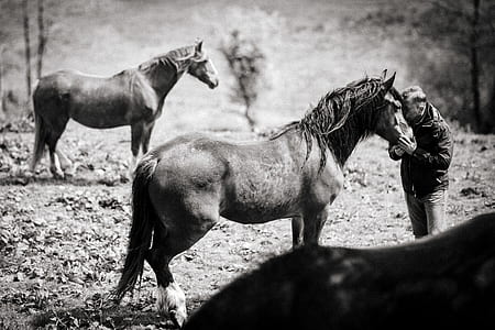 grayscale photography of man standing in front of horse thumbnail