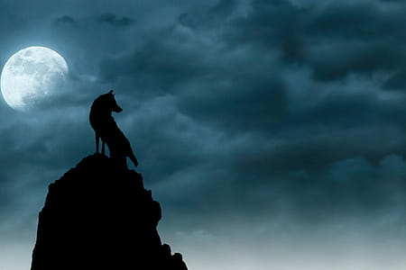 Silhouette of wolf on top of peak, beneath moon and clouds. thumbnail