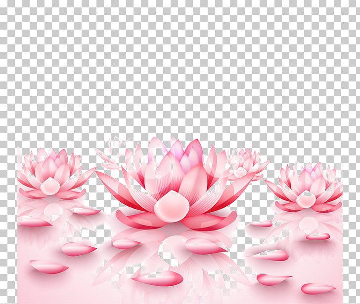 Water Lily Flower Meaning In Bengali Best Flower Site