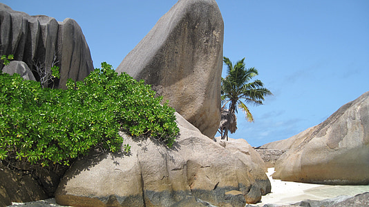 rock formation near tree at daytime thumbnail