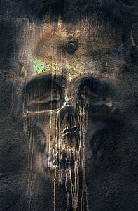 brown and white skull illustration thumbnail