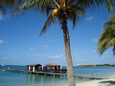 photo showing dock thumbnail