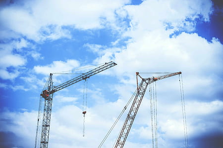 brown cranes thumbnail