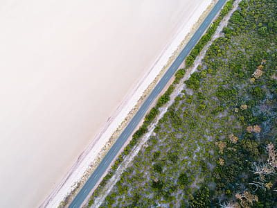 aerial photography of green plants thumbnail