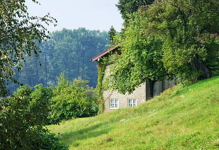 gray house on hill thumbnail