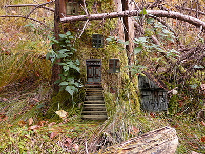 elves, fairies, feenwohnung, forest, fairy tales, wood elves thumbnail