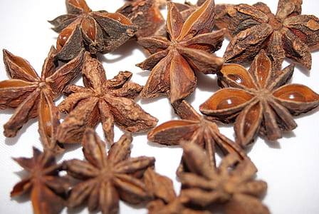 bunch of star anis thumbnail