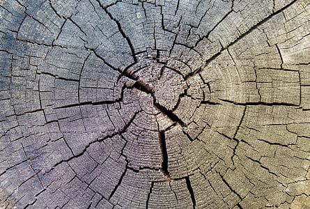 gray cracked wood thumbnail