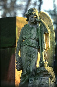 gray concrete statue of angel during daytime thumbnail