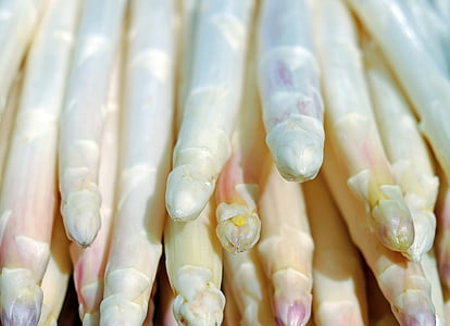 asparagus, white, shiny, frisch thumbnail