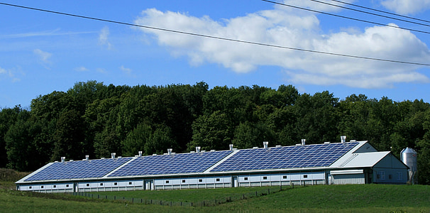 white building filled with solar panels surrounded by trees thumbnail