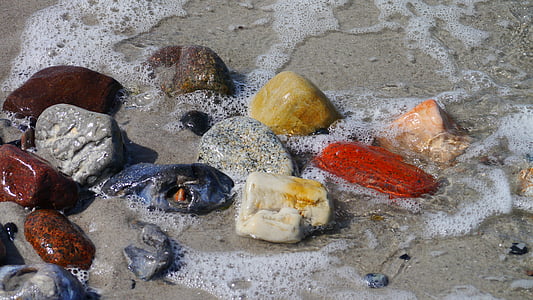 stones on seashore thumbnail