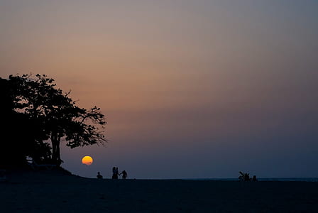 four people standing near tree during golden hour thumbnail