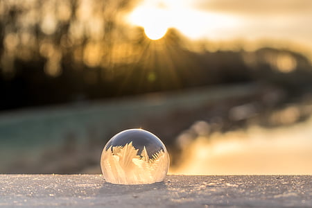 dew drop on bench during golden hour thumbnail