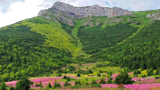 green mountain thumbnail