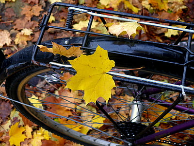 photo of black bike with maple leaf thumbnail