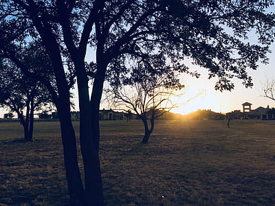 Green Grass Field during Sun Set thumbnail