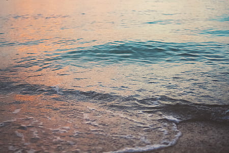 Sea Shore thumbnail