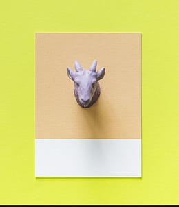 Goat Head Decor Illustration thumbnail