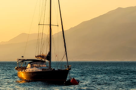 sailboat on body of water thumbnail