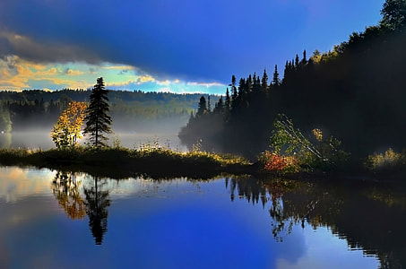 trees surrounded by body of water under blue sky thumbnail