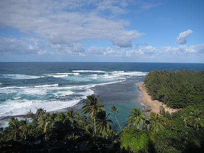 aerial photo of body of water near trees at daytime thumbnail