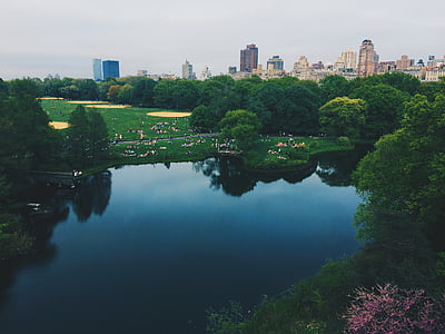 calm body of water beside trees thumbnail