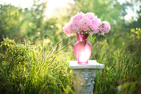 pink flowers in vase thumbnail