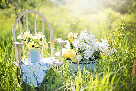 white and yellow petaled flowers arrangement thumbnail