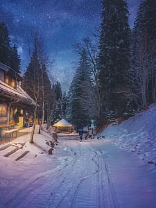 brown house surrounded by snow thumbnail