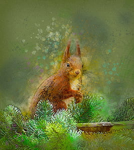 panting of rabbit on the bush thumbnail