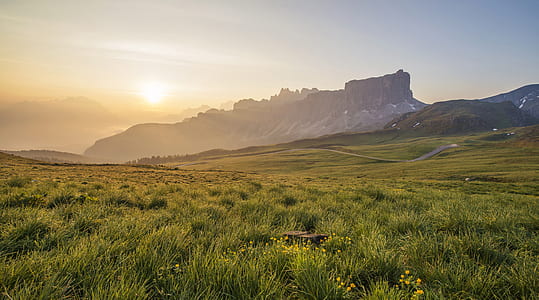 grass fields during golden hour thumbnail