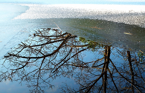 body of water during daytime thumbnail