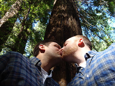 two man kissing beside wood taken during daytime thumbnail