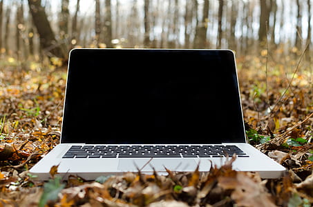 MacBook Pro on ground surrounded by leaves thumbnail