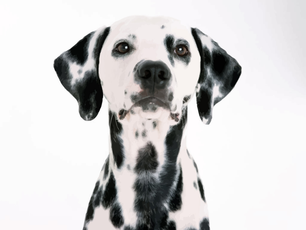 Sleeping Puppy Ai File Free Graphics Uihere