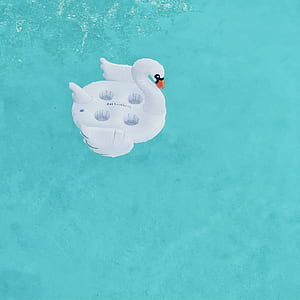 white swan inflatable tube on top of body of water thumbnail